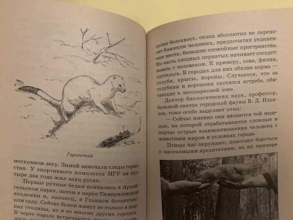 Энциклопедия цена 1500 тг