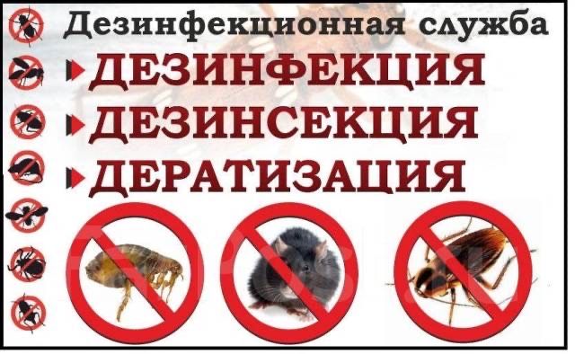 Дезинфекция дезинсекция дератизация