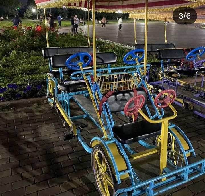 Семейные великиии