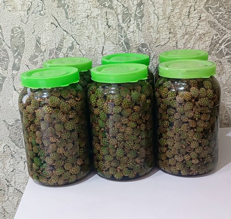 Сосновая шишка в сиропе