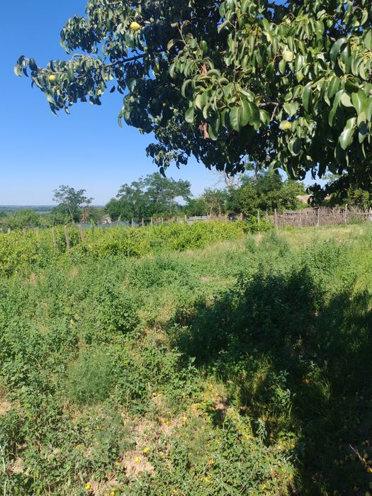 Se vinde teren in com. Topalu