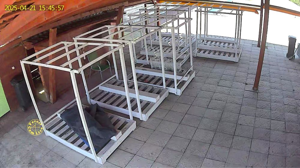 Baldachin , sezlong , plaja , pat