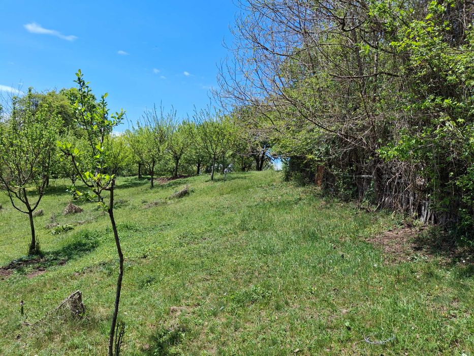 Два парцела с една къща