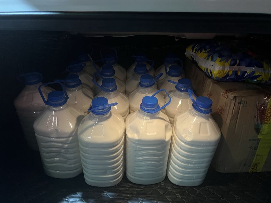 Қымыран Шұбат,Түйе сүті,Қымыз