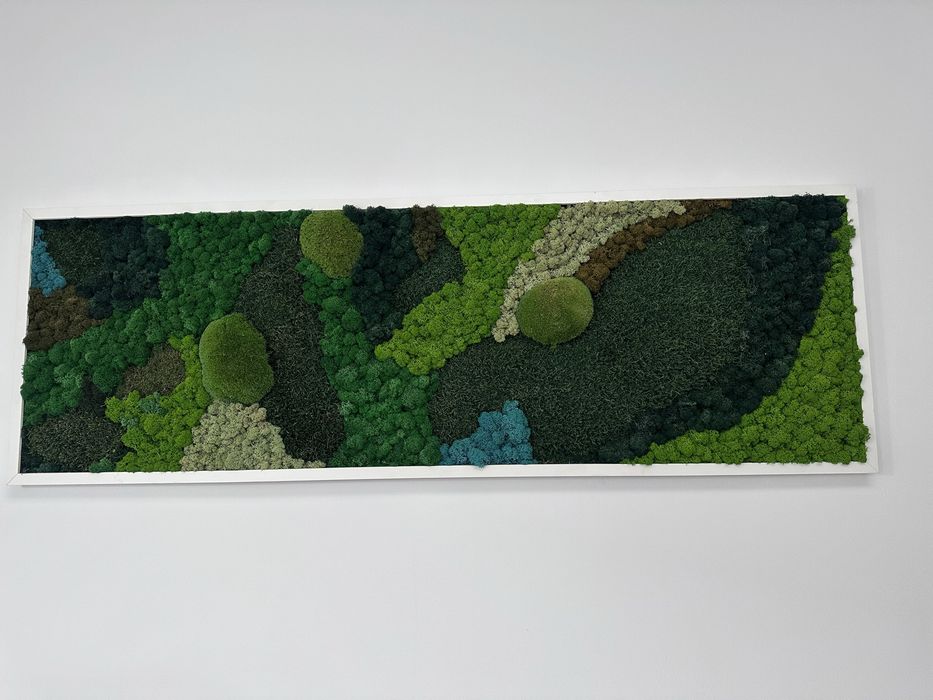 Tablou mare cu mușchi și licheni stabilizați 150x50 cm – Ramă albă