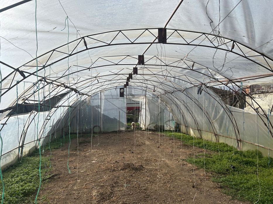 Оранжерия-Парник