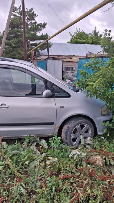Продам Сият альхабра