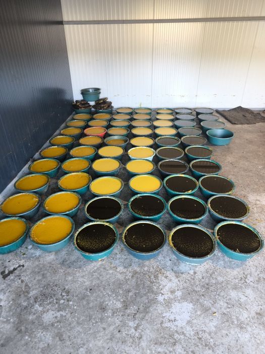 Ceară de albine pură