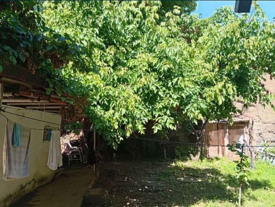 Старые Сергели улица Дарье Буйи 3,6 сотки