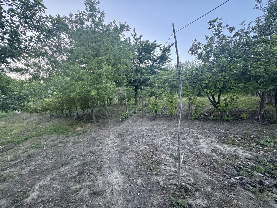 Casa cu teren intravilan 3100 mp