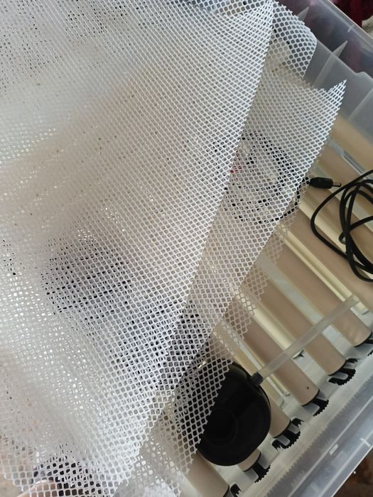 Инкбатор Фермер  .