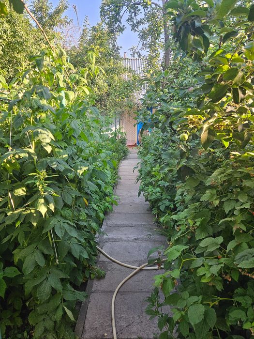 Продам дом по улице Меншуткина