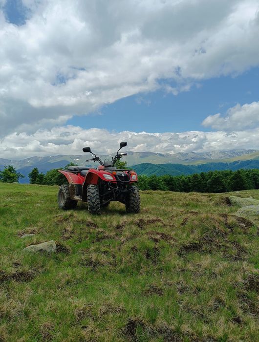 Suzuki ozark 250 2008