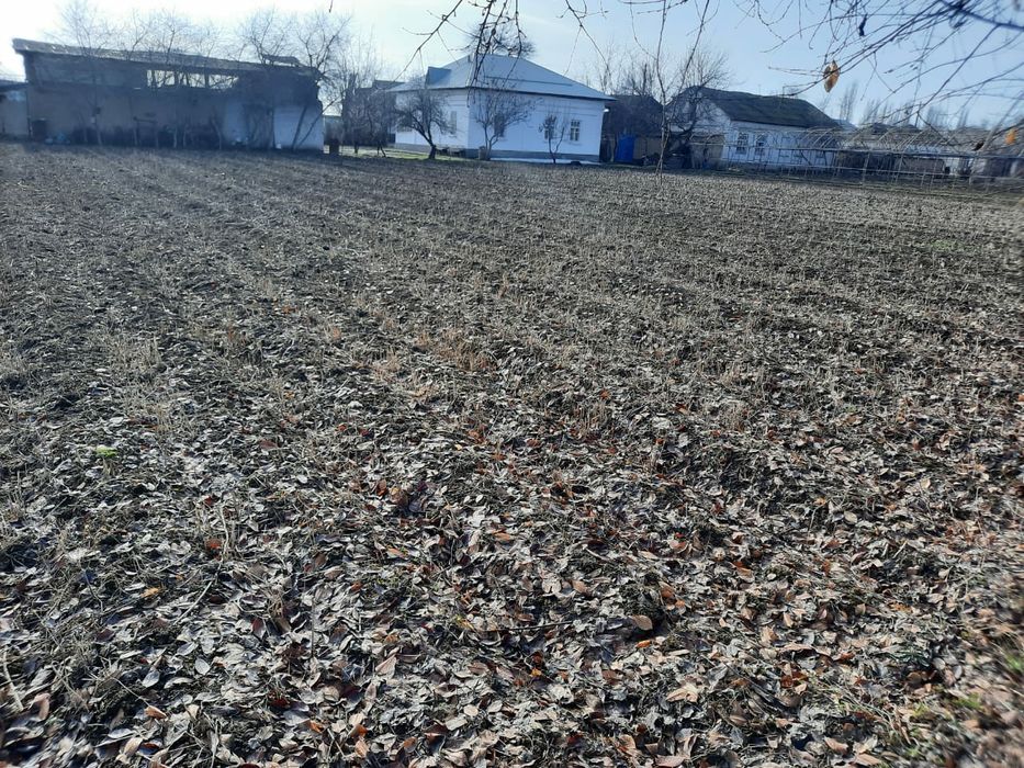 Ховлии уй сотилади