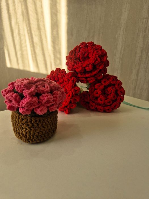 Цветы котопые не вянут