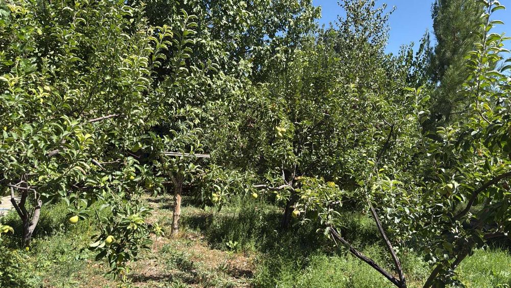 Срочно продается дом в с. Кулан в Тюлькубаский район