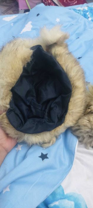 Gulere de vulpe poara argintie si o caciula