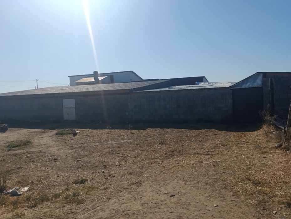 Ореке арты гор газ