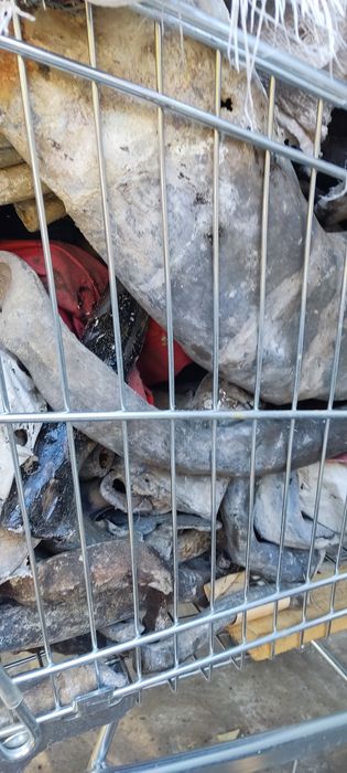 Plumb teava pt diferite activități 99%curat