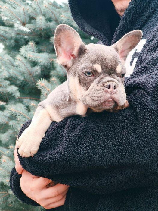 Замечательная девочка