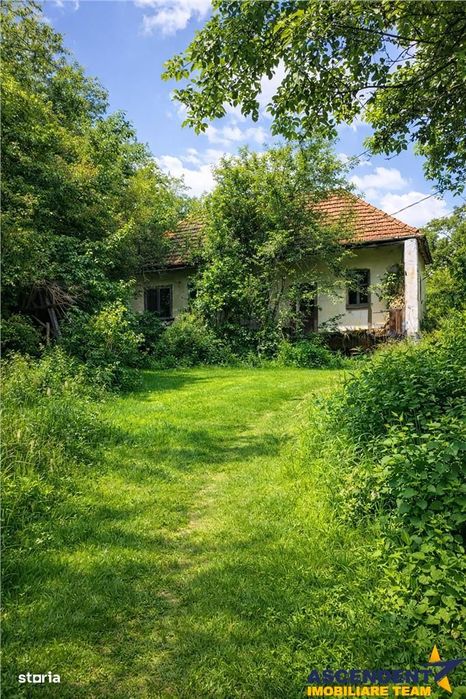 Domeniu verde autentic,  +5.000mp, front la DJ, Valcele, Brasov -- Cov