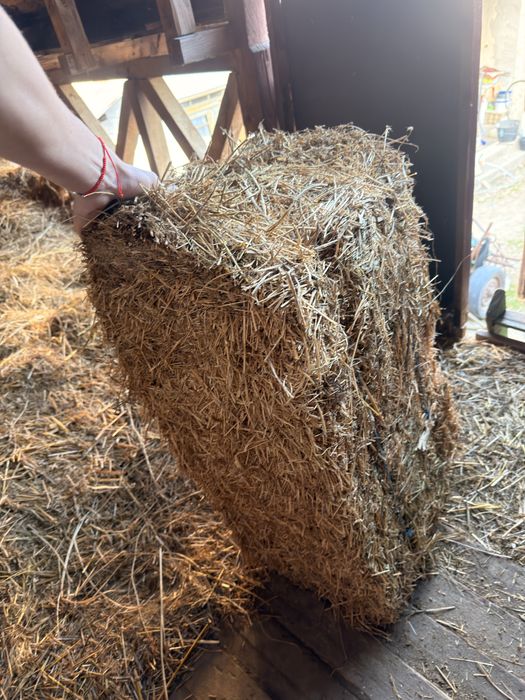 Vand baloti de lucerna