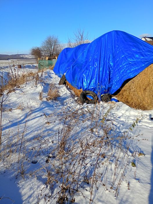 Baloți lucernă stare perfecta de consum