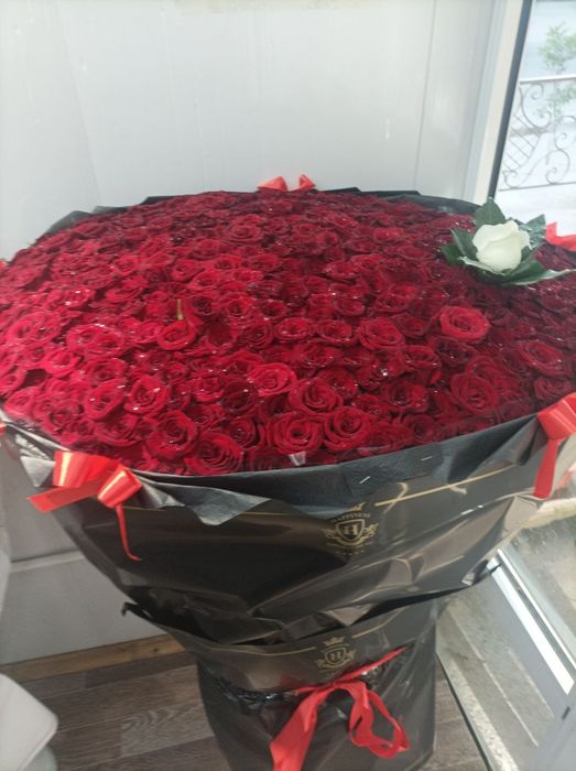 Доставка роз ( цветов по Ташкенту) подробности по номеру.