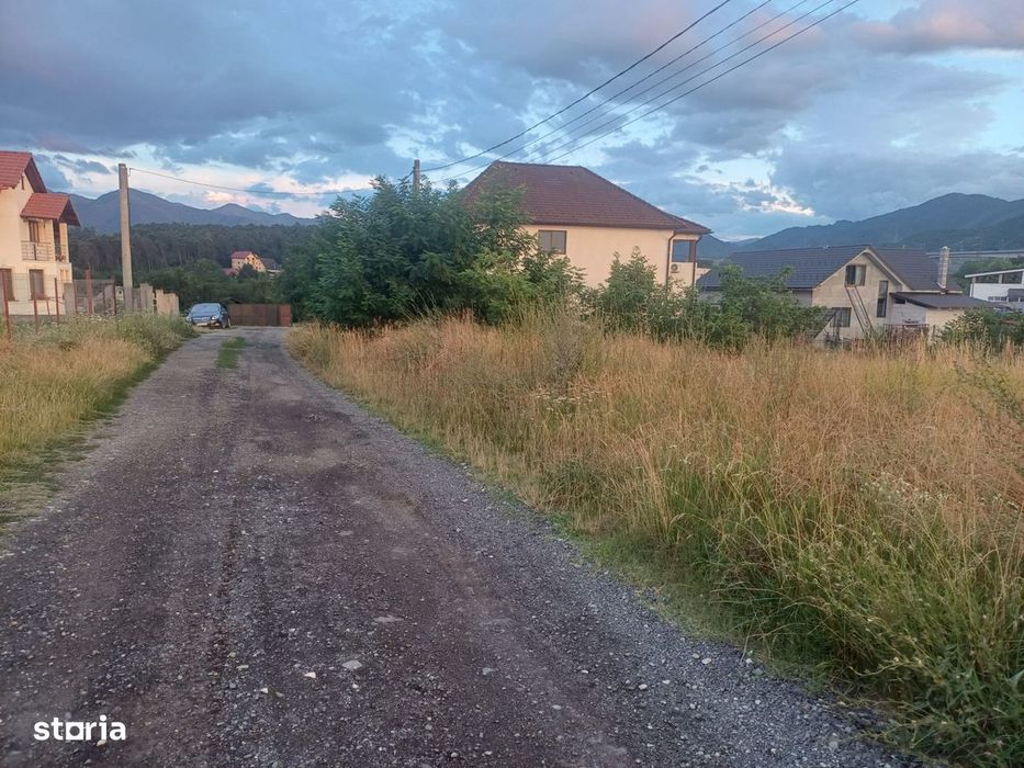 Teren intravilan pentru casa in Talmaciu