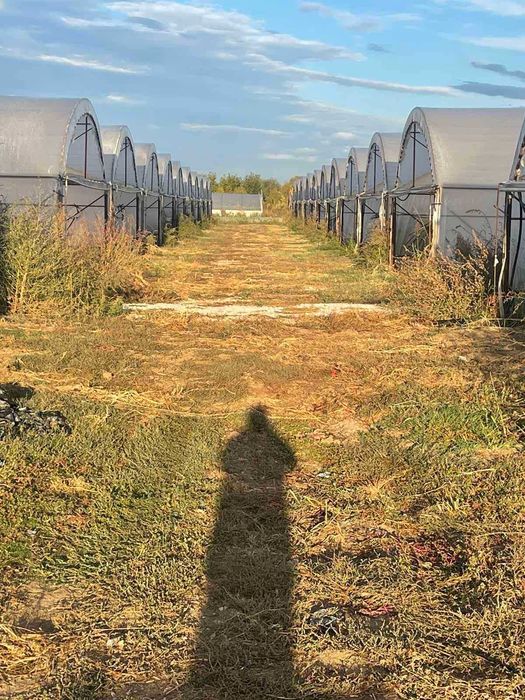 Продава се Земеделски имот в с. Триводици, Област Пловдив -  кв.м за 16490 €/дка - Снимка #6