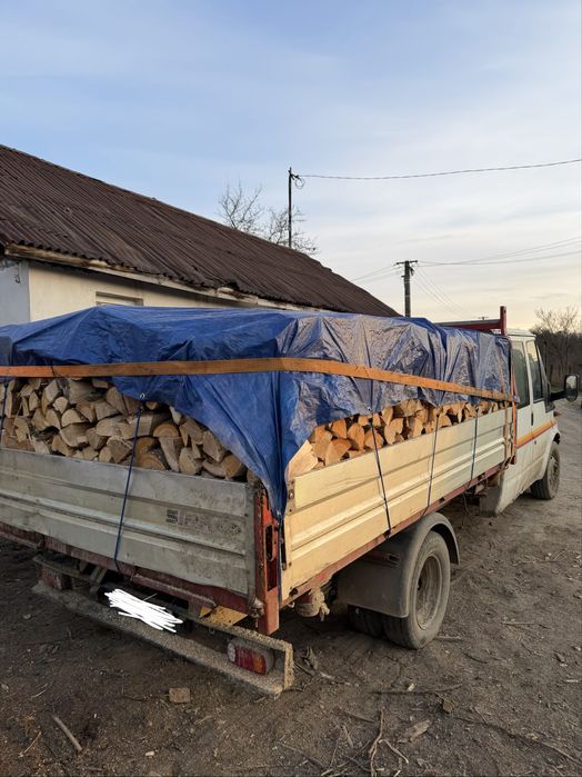 Lemn de foc, esenta tare