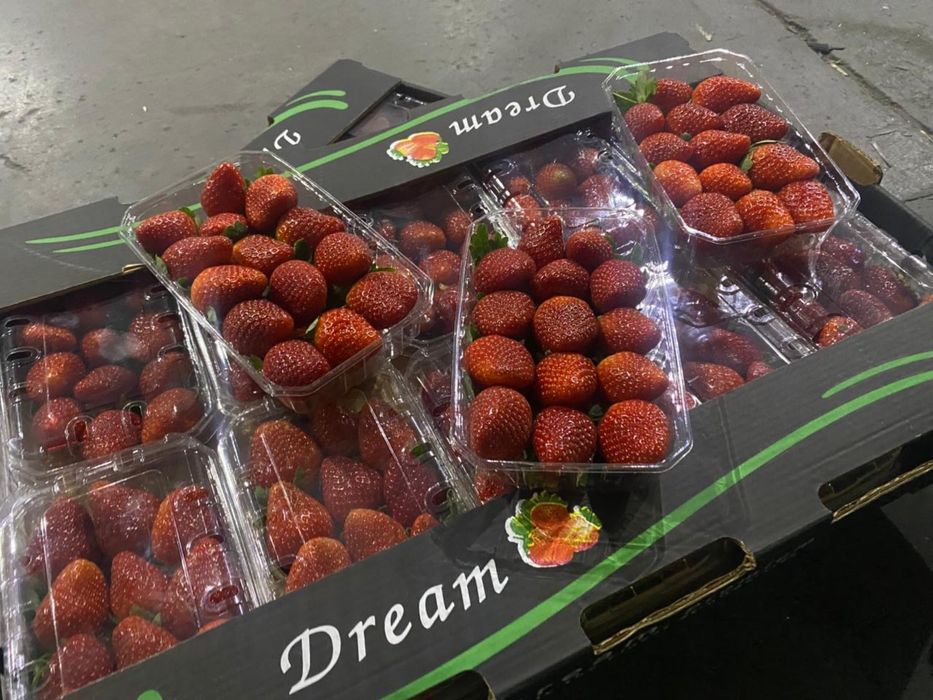 Клубника Египетская