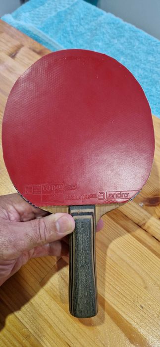 Palete si fete profi