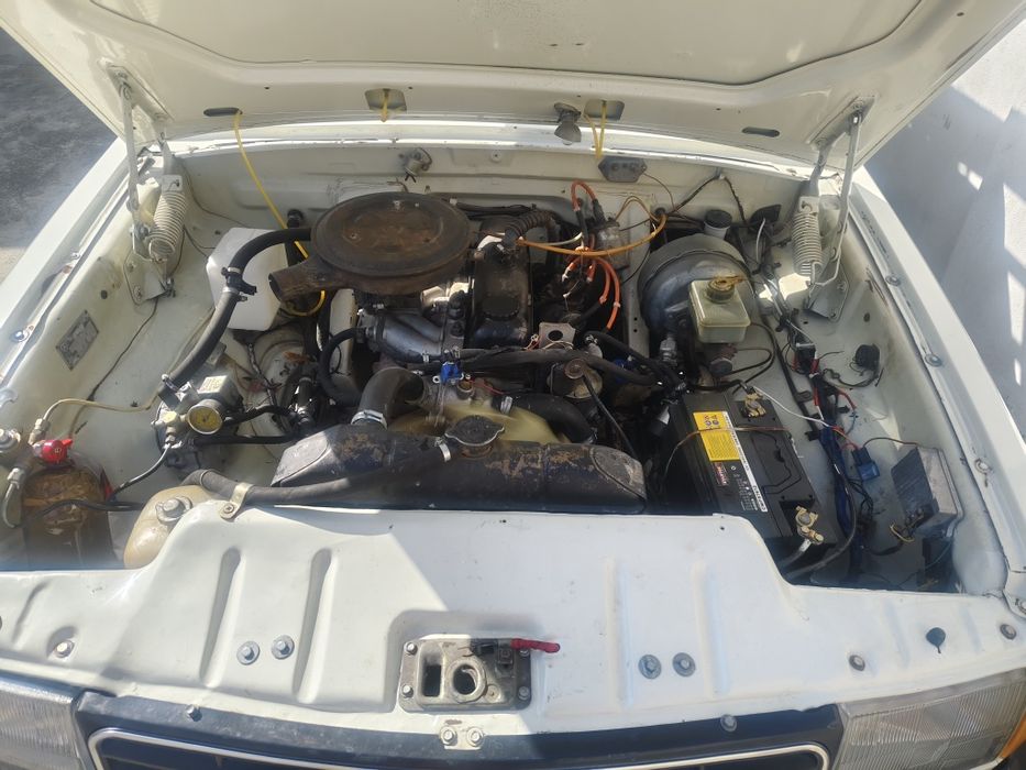 VOLGA 3129  haloti alo