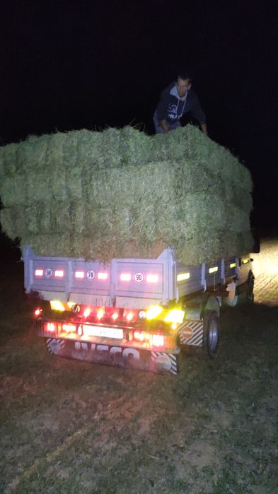 Baloți de lucernă dreptunghiulari