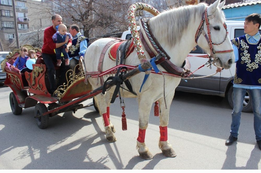Карета Золушка катание