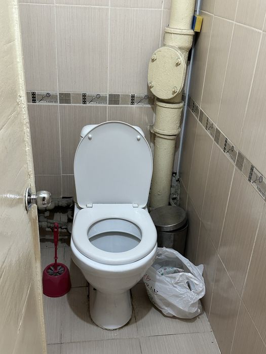 Подселениеге 1 кыз срочно!