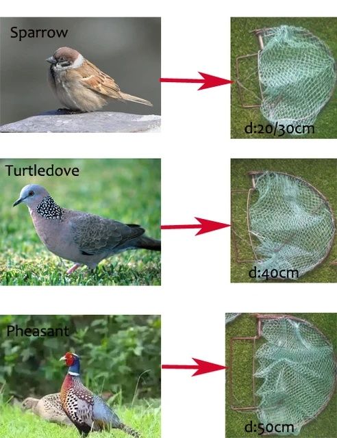 Ловушки капканы для птиц