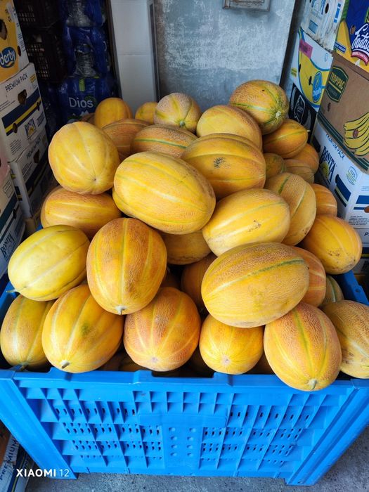 Продавам Дини и Пъпеши  на Едро! гр.Кнежа
