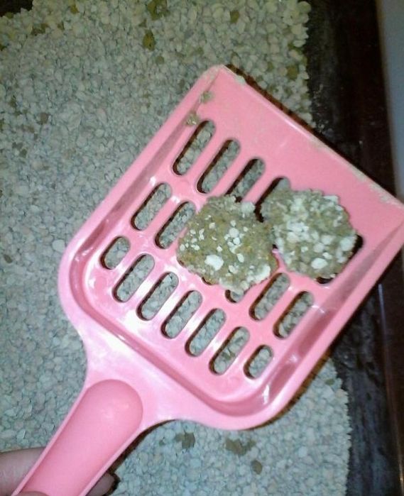 24/7 Наполнители для котиков с доставкой