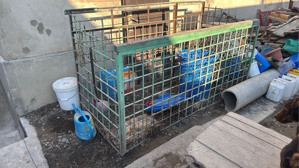 Вольер продается