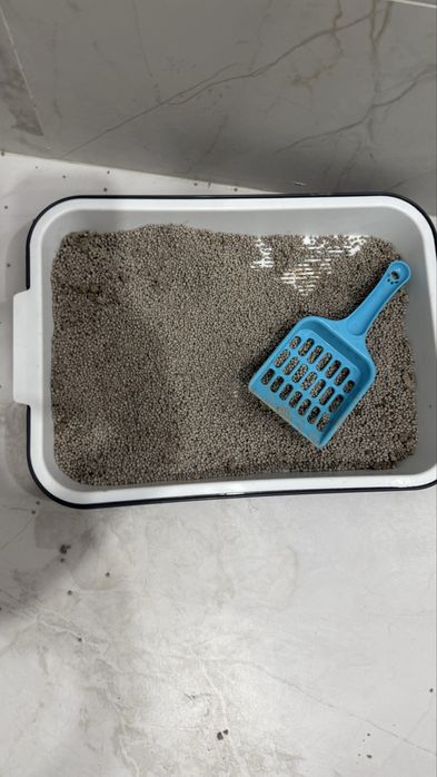 Котенок 3месяца