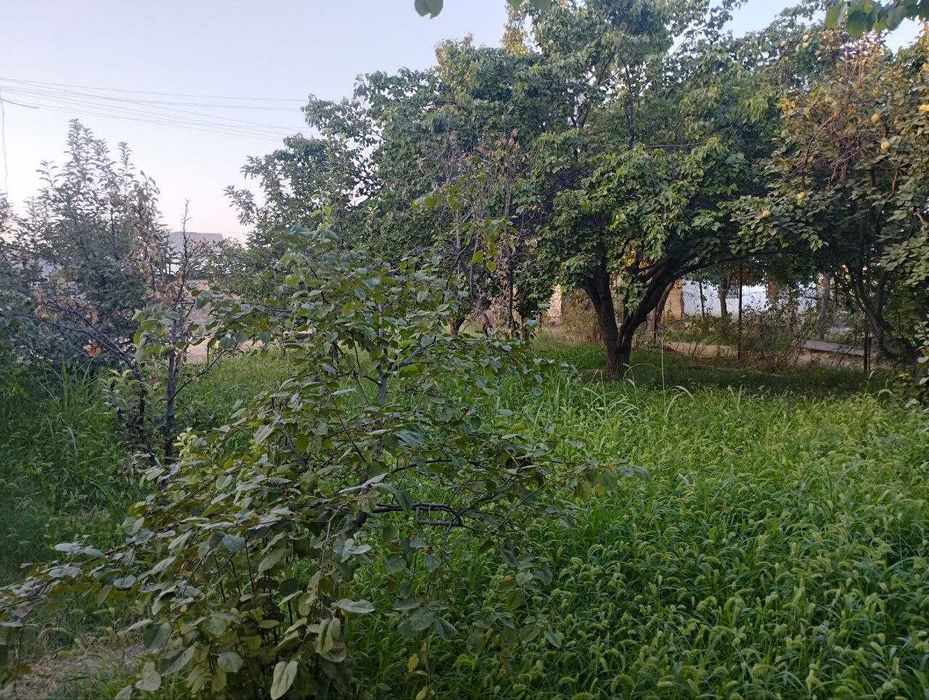 Дала Ховли 10,5 соток