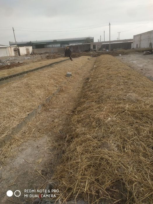 Биогумус Олий сифатли чувалчанги билан