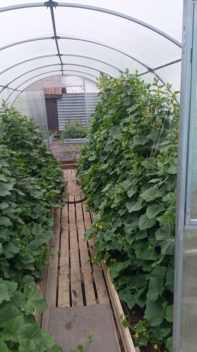 Продам отличный дом