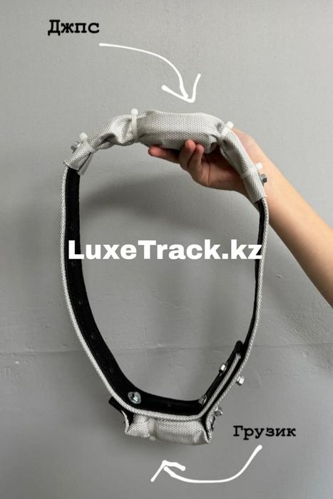 Спутниковый gps ( жпс, джпс) для лошадей животных