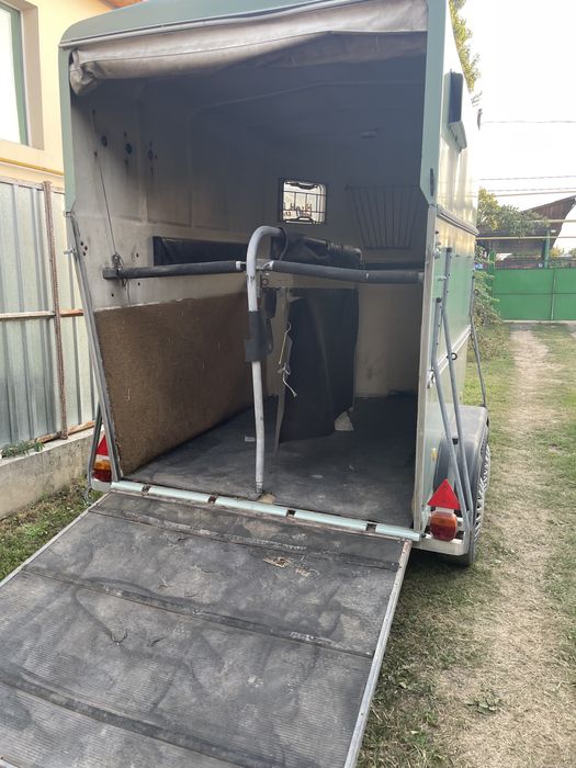 Аренда коневозок