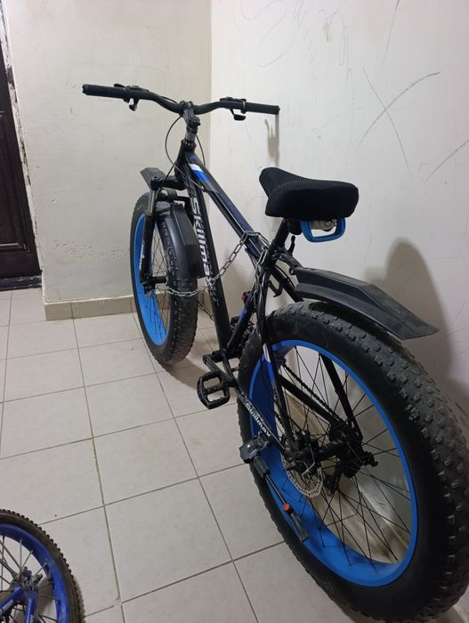 Velosped kattalarniki