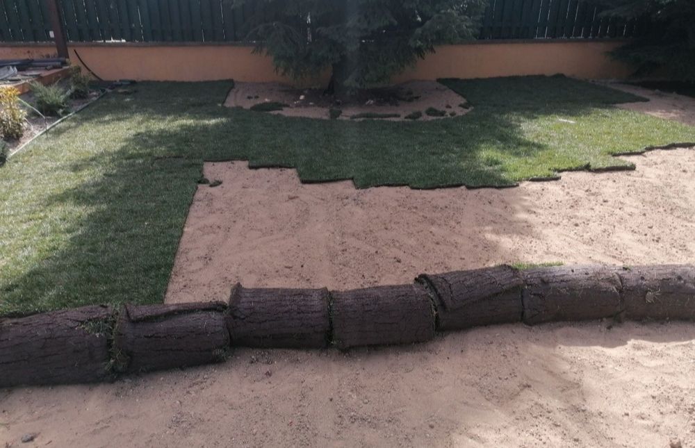 Gazon rulou de trafic 24 de lei m2.Transport și montaj inclus în preț.