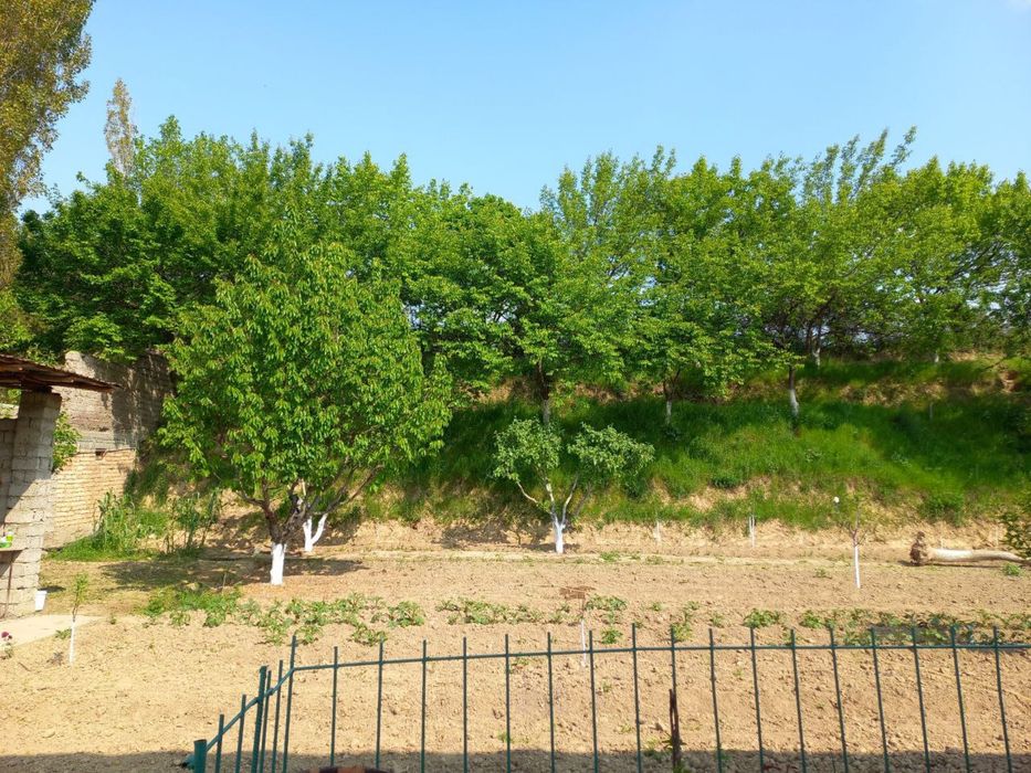 Ховли сотилади Рохатдан 18км